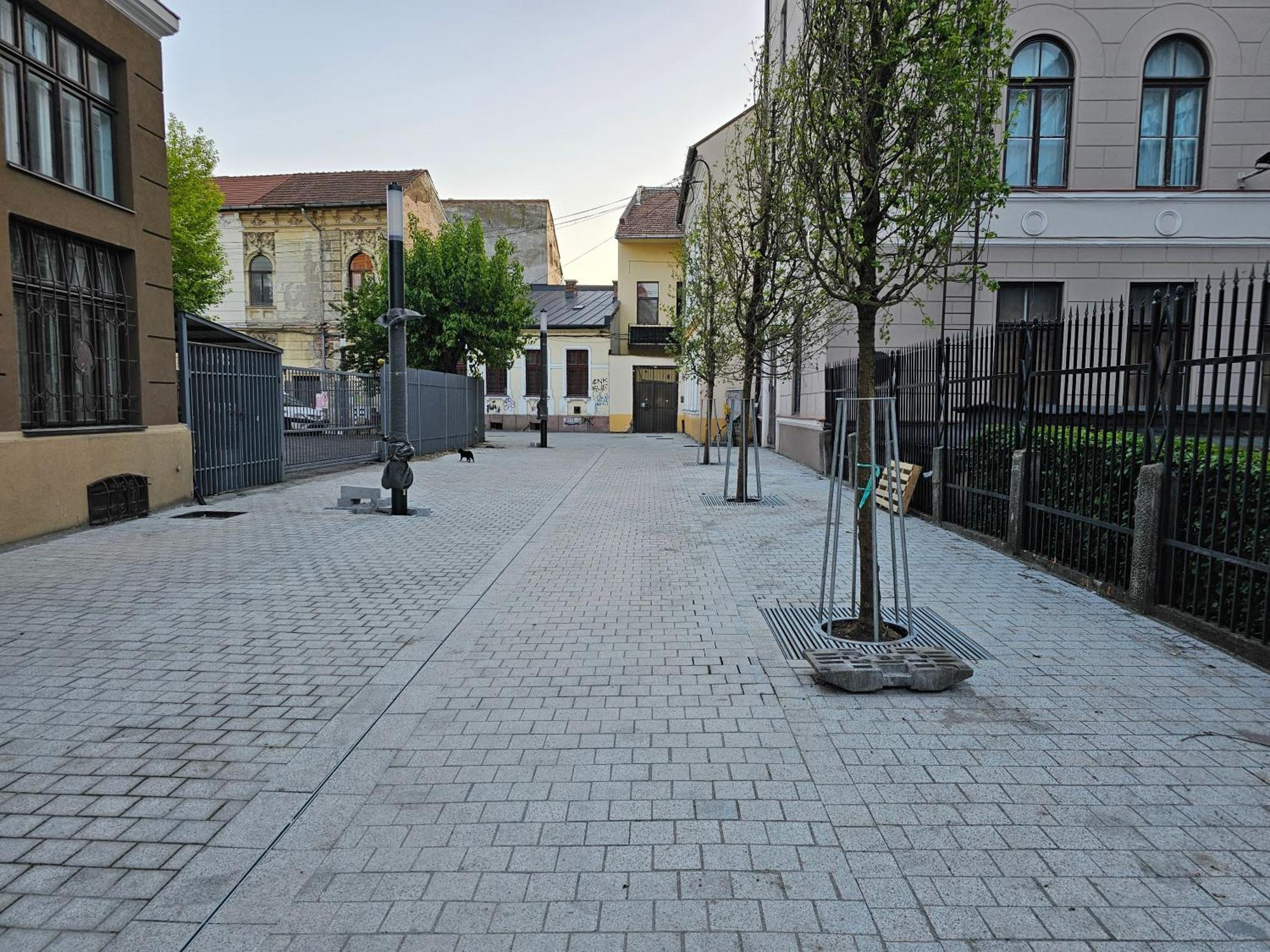 Muzeului Studio Cluj-Napoca Exterior foto